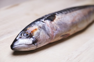 Mackerel raw fresh sea fish isolated wooden board healthy seafood
