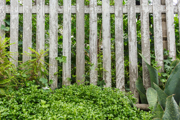 White fence old dilapidated
