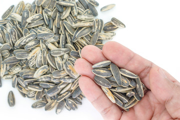 seed sunflower in hand on white background.