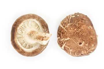 mushrooms top view on white background.