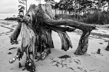 Erosion in black and white