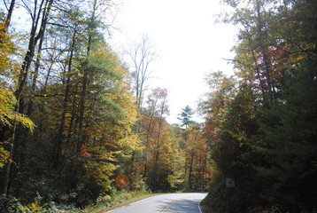 Obraz premium Deal's Gap/The Dragon/Cherohala Skyway 1