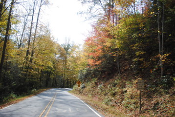 Deal's Gap/The Dragon/Cherohala Skyway 1