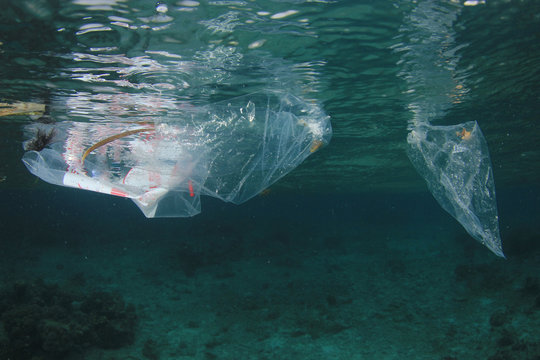 Plastic bags pollute ocean 