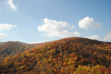 Deal's Gap/The Dragon/Cherohala Skyway 1