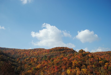 Deal's Gap/The Dragon/Cherohala Skyway 1