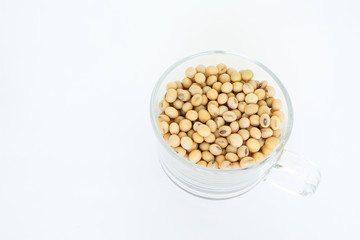 soy bean on glass cup on white background.