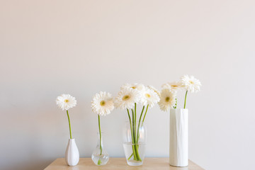 White gerberas in four glass and ceramic vases on wooden shelf against neutral wall background