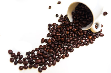 White cup on coffee bean isolated on white background