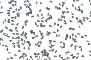 Sesame black seeds pattern on white background