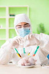 Lab assistant testing GMO chicken