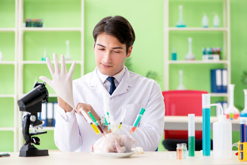 Lab assistant testing GMO chicken