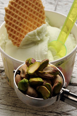 Pistacia vera