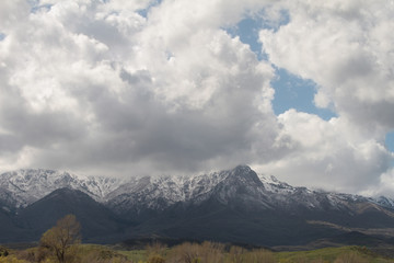 Fototapeta premium Wasatch Mountains Winter