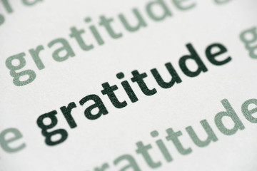 Fototapeta premium word gratitude printed on paper macro