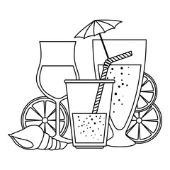 tropical cocktails cups with oranges and shell vector illustration design