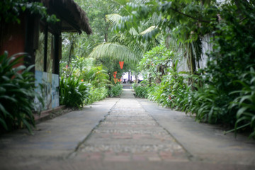 paved pathway