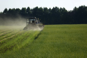 Flax field during harvest at summer day. Agricultural machinery in operation.