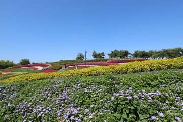 夏の馬見丘陵公園