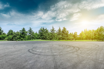 Empty asphalt road and green forest landscape