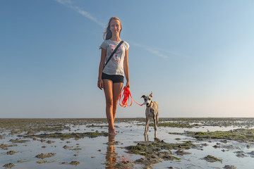 ein blondes junges Mädchen läuft mit ihrem Whippet Hund an der Nordseeküste im Watt bei Ebbe