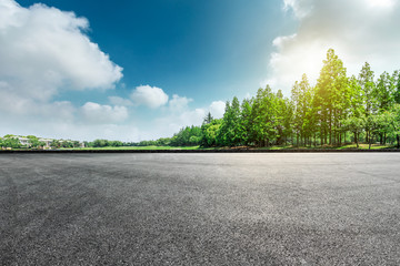 Empty asphalt road and green forest landscape - obrazy, fototapety, plakaty