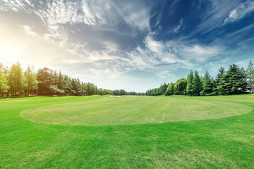 Green grass and trees scenery in summer