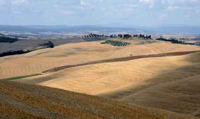 Fototapeta na wymiar Tuscany, Italy, hilly landscape near A Siena with farms in the distance