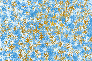 Blue and golden star pattern background