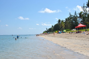 Fototapeta premium Plage Saline les Bains i reunion Island. Sunny day. 