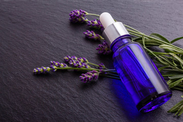 Lavender essential oil in a glass bottle with a pipette