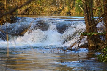 Fototapeta na wymiar Petite cascade sur la Dordogne