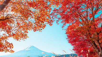 富士山と紅葉 6