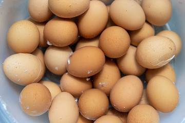 Boiled eggs sink in water in the bowl