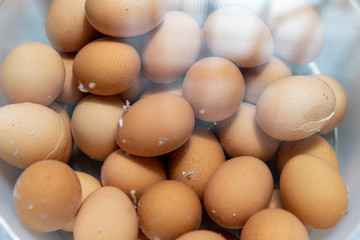 Boiled eggs sink in water in the bowl