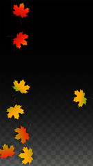 September Vector Background with Golden Falling Leaves. Autumn Illustration with Maple Red, Orange, Yellow Foliage. Isolated Leaf on Transparent Background. Bright Swirl. Suitable for Posters.