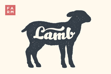 Lamb. Lettering, typography. Animal silhoutte sheep or lamb and lettering Lamb. Creative graphic design for butcher shop, farmer market. Vintage poster for meat related theme. Vector Illustration