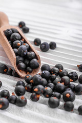 dried juniper berries on a white background
