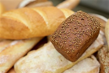 Many mixed breads on the table, shot from above