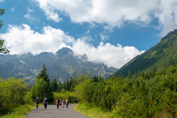 Fototapeta premium tourists go along the trail in the mountains