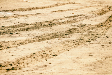 Car tracks on the sand
