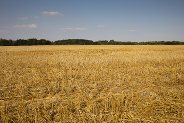 Stoppelfeld, Nordrhein-Westfalen, Deutschland, Europa