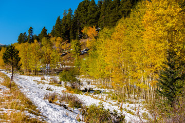 Fototapeta na wymiar Season changing, first snow and autumn trees