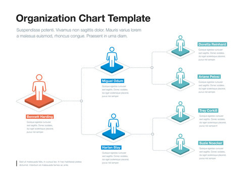 Simple company organization hierarchy chart template with place for your content. Easy to use for your website or presentation.