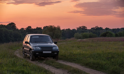 car in the meadow