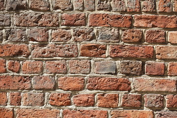alte Ziegelsteinmauer, Ziegelsteine