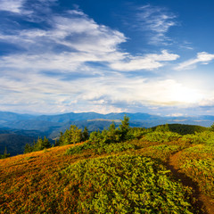 outdoor scene, top of green hill at the sunset