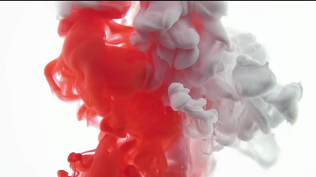 Red and White color paint ink drops in water slow motion video white background with copy space. Inky cloud swirling Abstract isolated smoke explosion