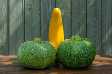 Squash in the form of sculpture