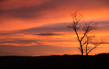 Fototapeta premium Sonnenaufgang